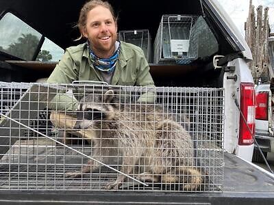 Phoenix pest control